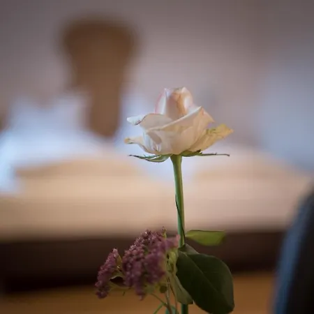 Brennereihotel Sponsel 3*