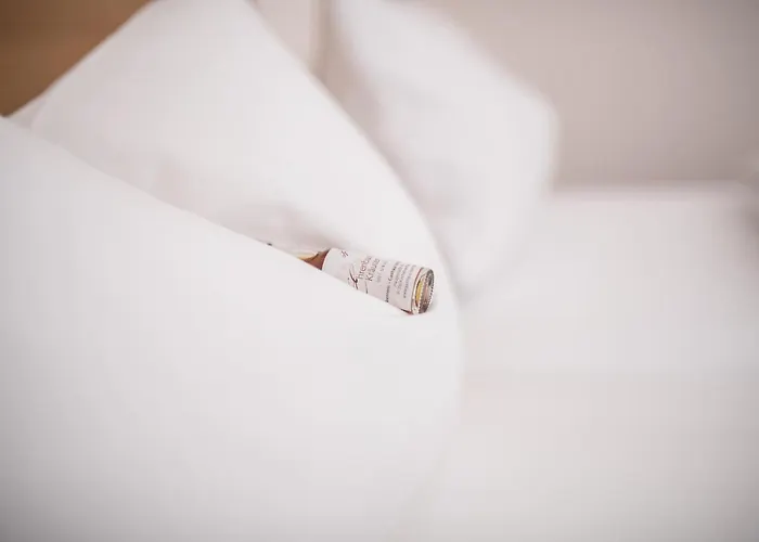 Brennereihotel Sponsel Hotel