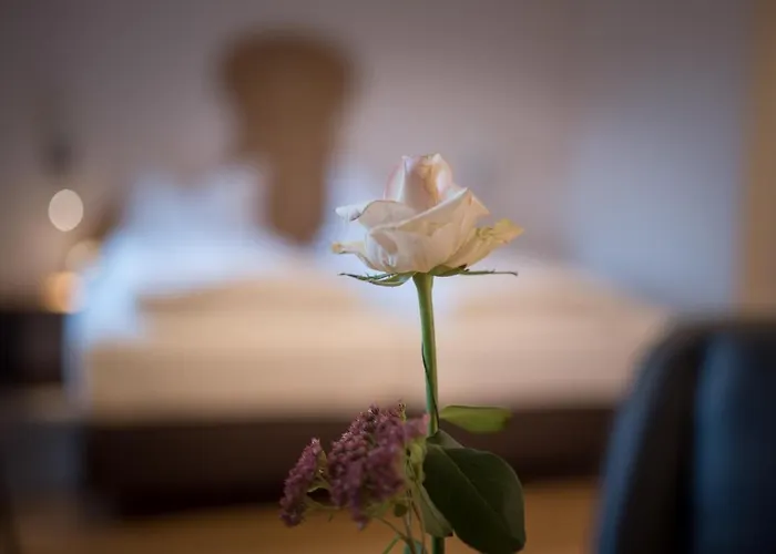 Brennereihotel Sponsel 3*